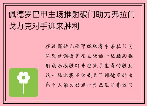 佩德罗巴甲主场推射破门助力弗拉门戈力克对手迎来胜利